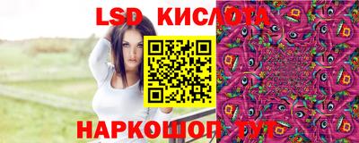 МДПВ Шебекино