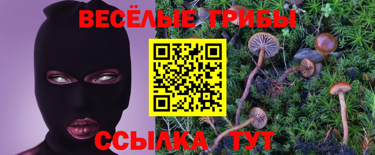 Выкса  купить наркотики цена  Вход с VPN  Псилоцибиновые грибы мухоморы 