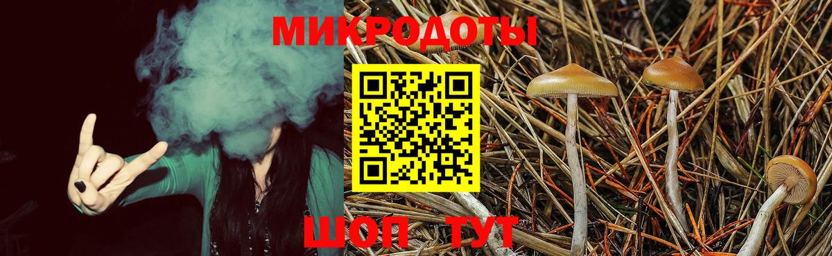 Псилоцибиновые грибы Psilocybe Выкса